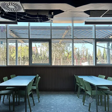 Valencia Tower 3* 布尔雅索特